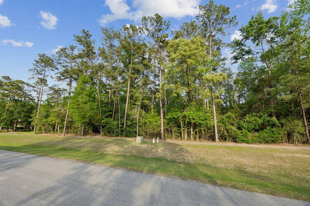 Spring, TX 77386,27318 Whispering Maple Way
