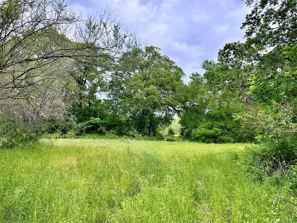 Brenham, TX 77833,0000 Quarry RD