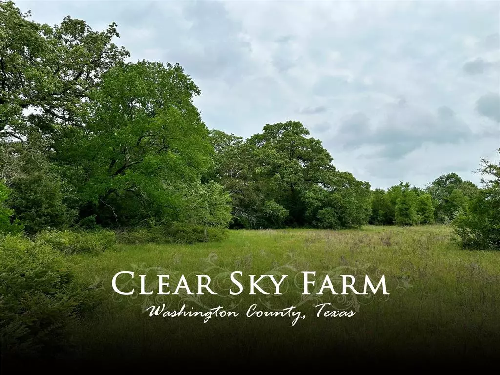 Brenham, TX 77833,0000 Quarry RD