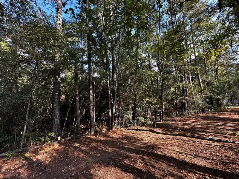 Lot 17 Yellow Poplar LN, Plantersville, TX 77363