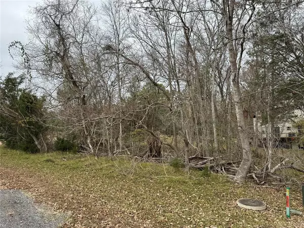 Coldspring, TX 77331,Lot 100 Elm Cove CIR