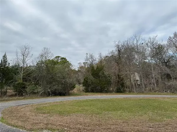 Coldspring, TX 77331,Lot 100 Elm Cove CIR