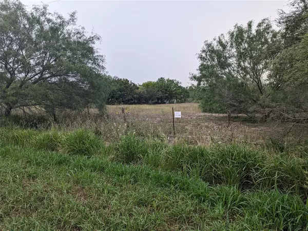 Premont, TX 78375,Lot 1 Cr 418