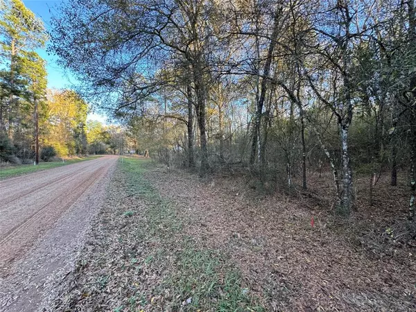 Shepherd, TX 77371,532 County Road 2175