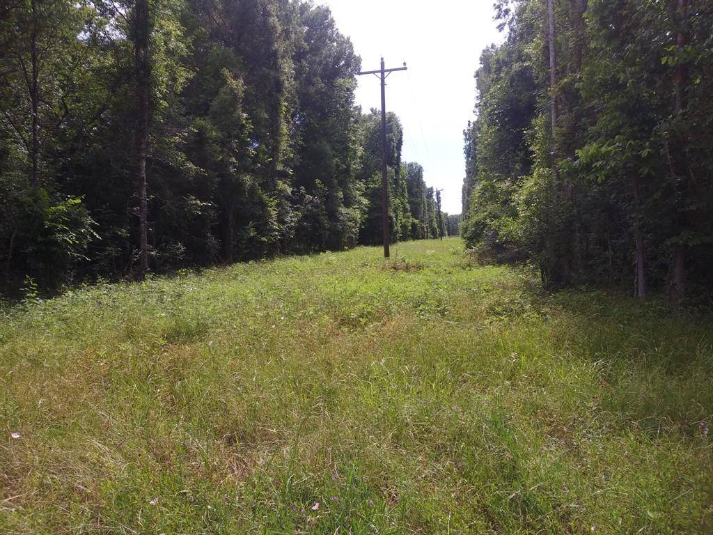 TBD County Road 2853, Cleveland, TX 77327