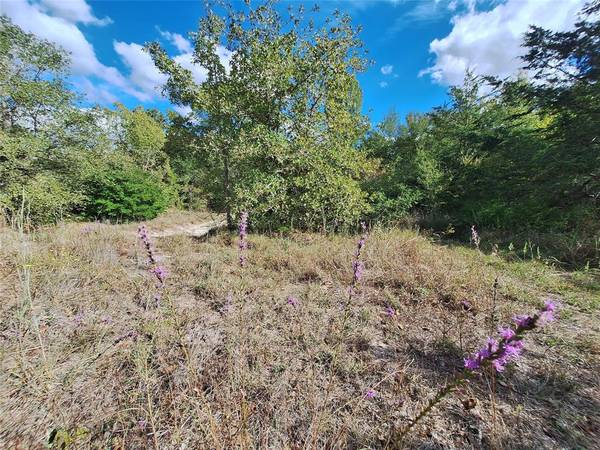 Caldwell, TX 77836,Lot 9 Timber RDG