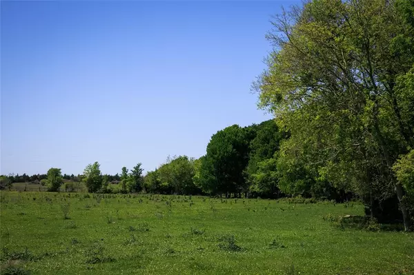 Chappell Hill, TX 77426,187 Acres Chadwick Hogan Road