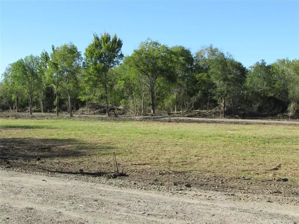 Rosharon, TX 77583,0000 (Lot 72) Trufle Rue ST