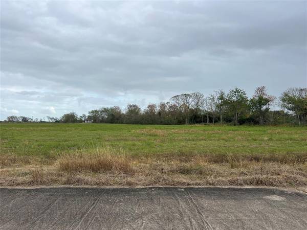 00000 Brahman TRL, Angleton, TX 77515