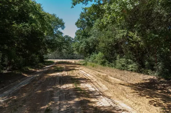 Hilltop Lakes, TX 77871,TBD Lot 3,5,7 Daisetta ST