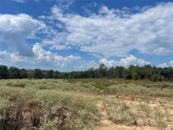 Livingston, TX 77351,TBD Midway Central Loop