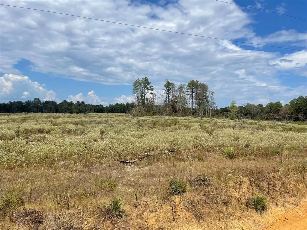 Livingston, TX 77351,TBD Midway Central Loop