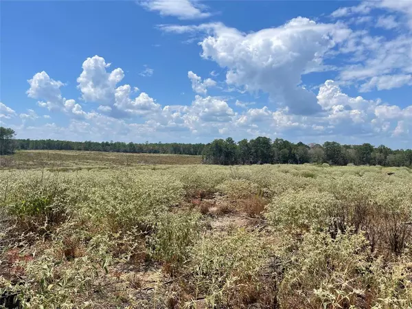 Livingston, TX 77351,TBD Midway Central Loop