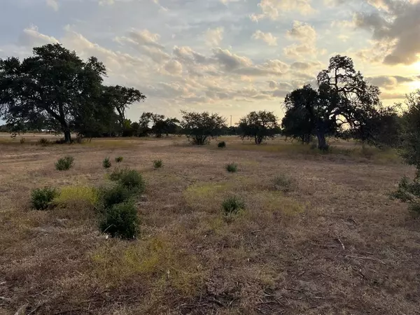 Burnet, TX 78611,TBD Lot 4 County Road 340 Road