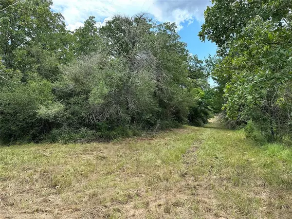 Cistern, TX 78959,00 Buck Run DR