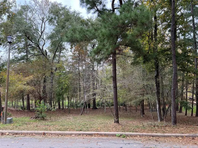 2019 E Lake DR, Huntsville, TX 77340