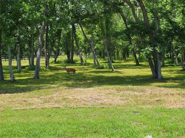 32118 Redfish TRL, Richwood, TX 77515