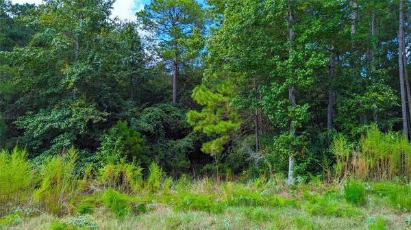 69 Tranquil LN, Huntsville, TX 77340