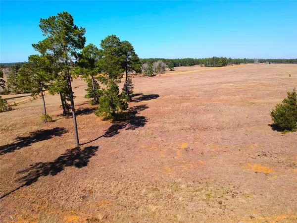 Hillister, TX 77624,TBD Lakeland Loop Lot 85