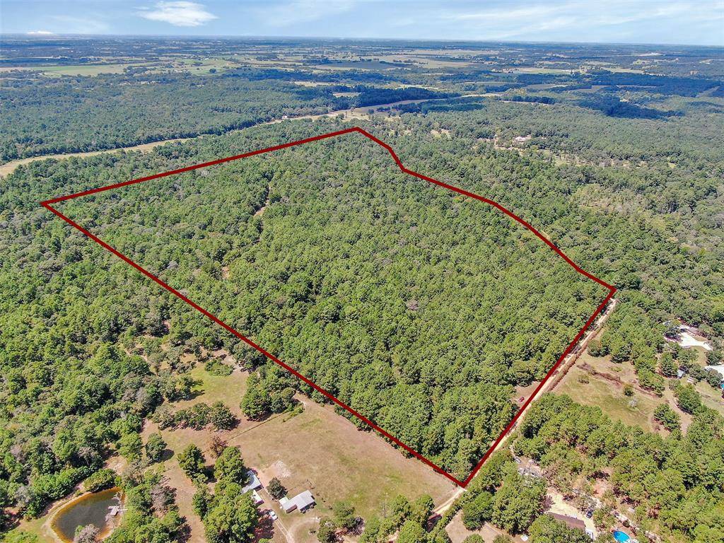 Plantersville, TX 77363,000040 County Road 302