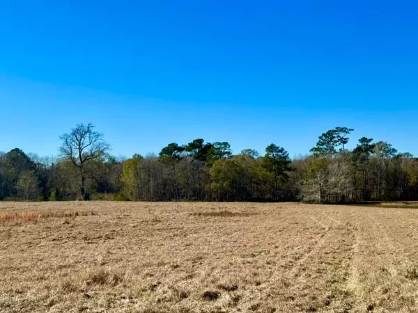 Hillister, TX 77624,TBD Lakeland Ranch Lot 163