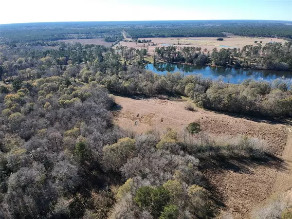 Hillister, TX 77624,TBD Lakeland Ranch Lot 163