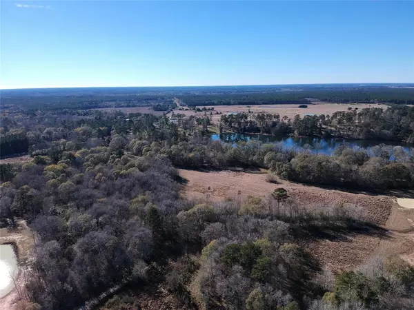 Hillister, TX 77624,TBD Lakeland Ranch Lot 163