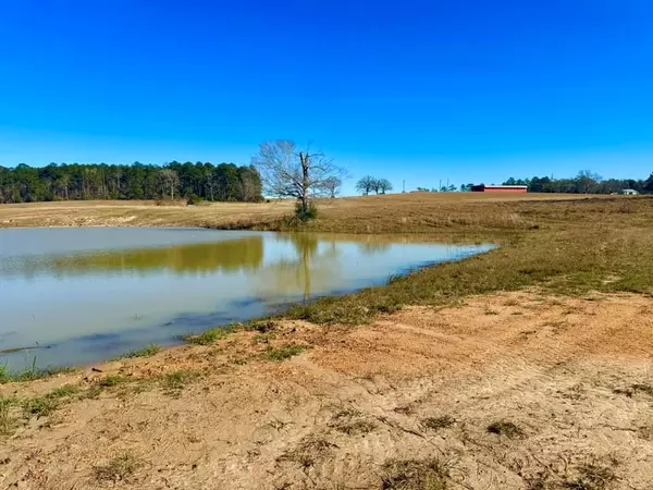 Hillister, TX 77624,TBD Lakeland Ranch Lot 163