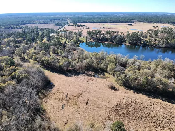 Hillister, TX 77624,TBD Lakeland Ranch Lot 163