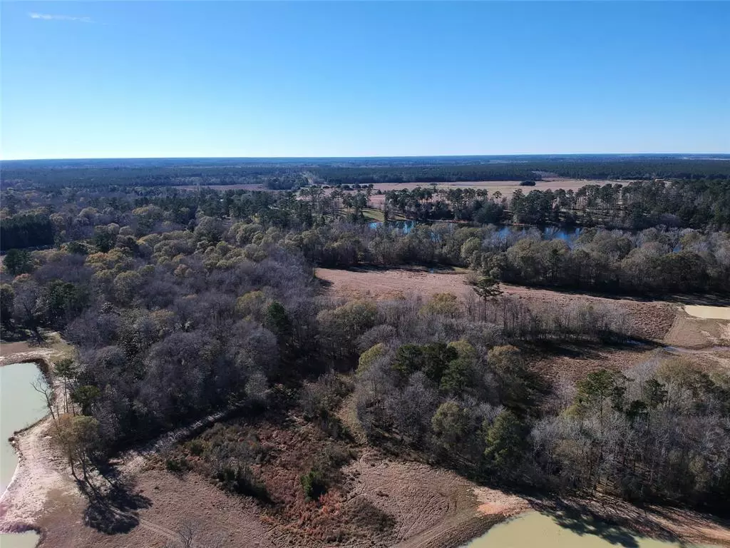 Hillister, TX 77624,TBD Lakeland Ranch Lot 163