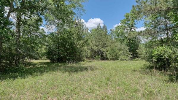 26620 Hunters Ridge RD, Hockley, TX 77447