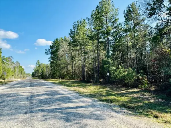 Huntsville, TX 77340,Lot 13A Texas Grand RD