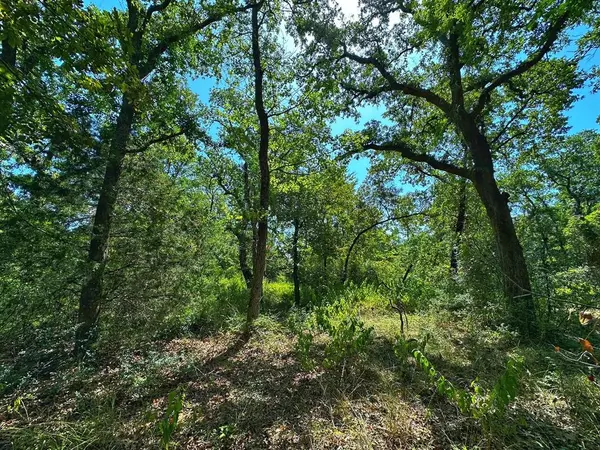 Centerville, TX 75833,8 ac CR 130