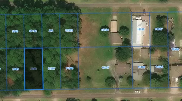 Anahuac, TX 77514,Lot 8A Watie RD