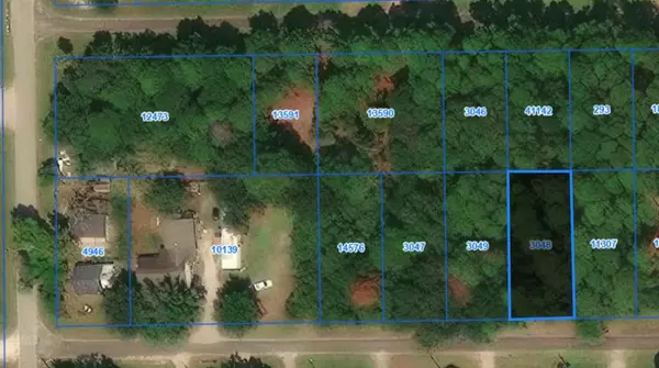 Anahuac, TX 77514,Lot 8A Watie RD