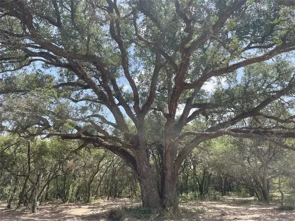 Columbus, TX 78934,Lot 29 Shorebird