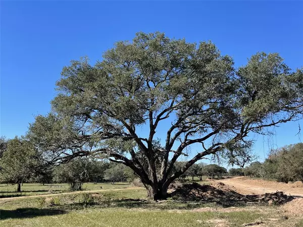 Lot 29 Shorebird, Columbus, TX 78934