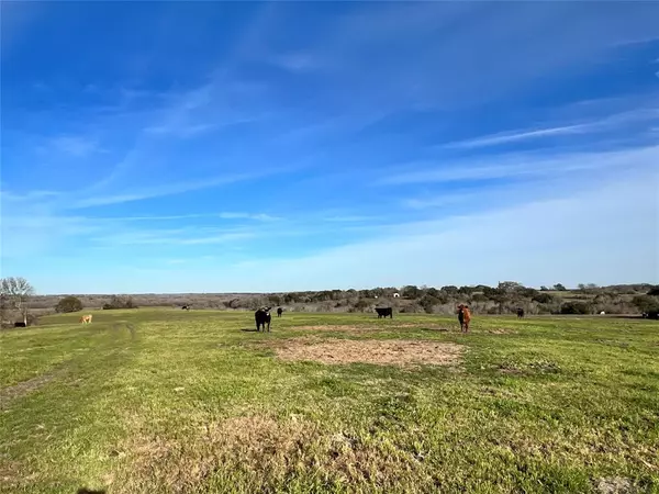 Brenham, TX 77833,TBD Oil Field Road