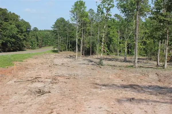 Livingston, TX 77351,Lot 2 FM 3152 RD