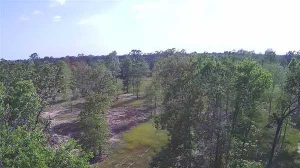 Livingston, TX 77351,Lot 2 FM 3152 RD