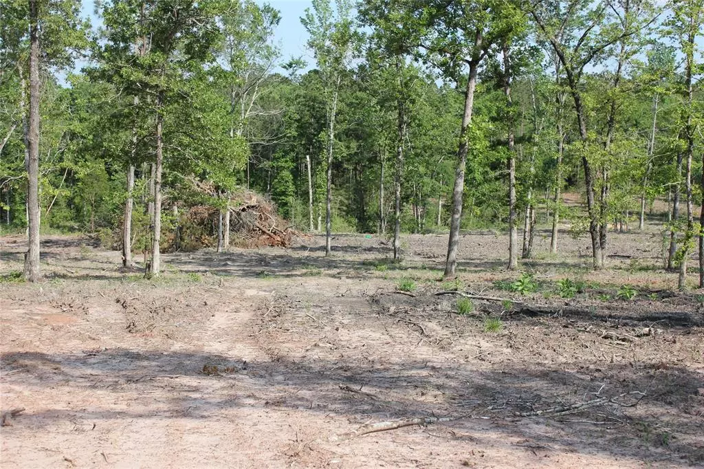 Livingston, TX 77351,Lot 2 FM 3152 RD