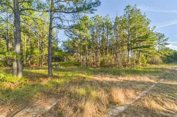 Willis, TX 77378,15774 Wooded Trail WAY