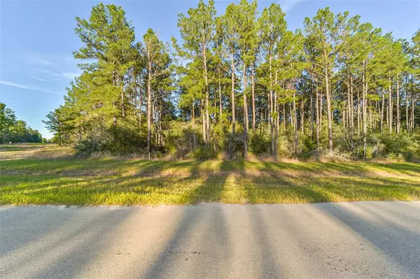 15774 Wooded Trail WAY, Willis, TX 77378