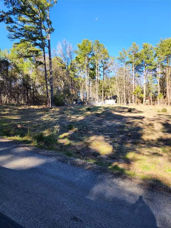 Livingston, TX 77351,Lot 425 Echo Hills LN