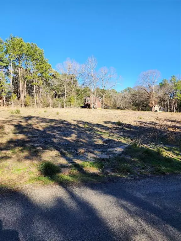 Livingston, TX 77351,Lot 425 Echo Hills LN