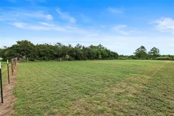 Prairie View, TX 77484,244 Alleda RD