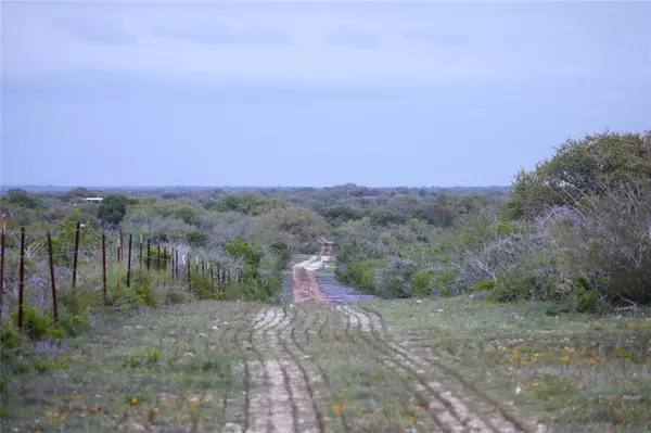 Beeville, TX 78102,169 Bobwhite TRL