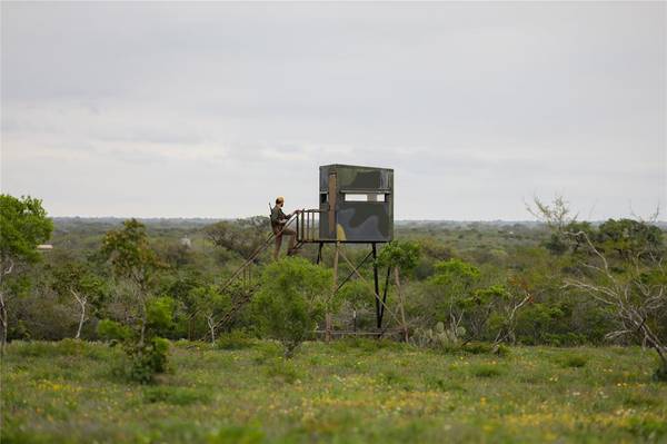 169 Bobwhite TRL, Beeville, TX 78102