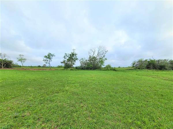 725 Buffalo Trail, Angleton, TX 77515