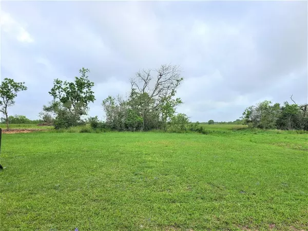 Angleton, TX 77515,725 Buffalo Trail